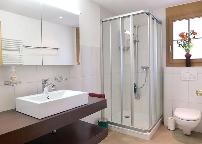 Laerchehus West By Interhome Kandersteg